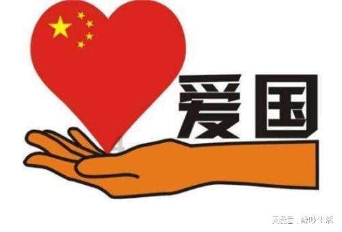 市人大代表连续追踪7年，建议加大种源创新和创意设计——白玉兰绽放海上，焕活城市美学徽章